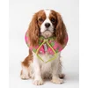 Paws & Whiskers Ogrlica za kućne ljubimce Krofna, Roze