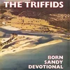 The Triffids - Born Sandy Devotional (Limited Edition) (Yellow Coloured) (LP)