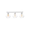 Plafonski luster DIAMENT MINI 3xE27/60W/230V