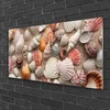 tulup.si Slika na steklu Školjke sand art 120x60 cm 4 obešalnika