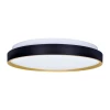 Solight WO8013 - LED prigušiva stropno svetlo CALA LED/48W/230V 3000-6500K + daljinski upravljač