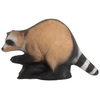3D WILD LIFE RACOON – RAKUN