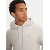 Tommy Jeans Jopa DM0DM20742 Siva Regular Fit