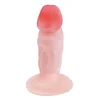 Analni dildo