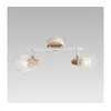 Prezent 27504 - Plafonsko spot svetlo TAMETA 2xE14/40W/230V
