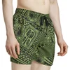 Adidas Muški šorts za kupanje Farm Swimshort, Zeleni