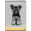 Zvezek A5 črtni Sweet Pets, 54 listni