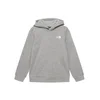 The North Face Jopa Teen Evolution Simple Dome NF0A8CV6 Siva Regular Fit