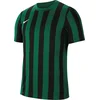 Dre Nike M NK DF TRP DVN IV JY