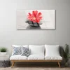 tulup.si Slika na akrilnem steklu Gerbera cvet 120x60 cm 4 obešalnika