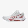 Asics SKY ELITE FF MT 3