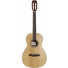 ALVAREZ AKUSTIČNA KITARA AP70 Parlor