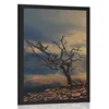 Plakat posušeno drevo - 40x60 no frame