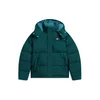 Tommy Jeans Zimska jakna ALASKA zelena