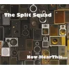 The Split Squad - Now Hear This ... (LP)