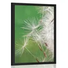 Plakat semena regrata - 30x45 black