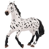 Papo velik Appaloosa konj 50199