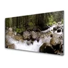 tulup.si Slika na steklu Forest river slapovi 100x50 cm 4 obešalnika