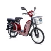 Električni bicikl 22 GLX-A-1