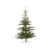 Nobilis Everlands fir 240cm 68.9203
