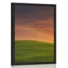 Plakat drevo na travniku - 60x90 no frame
