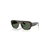 Sončna očala Ray-Ban rjava barva, 0RB2218