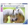 Ravensburger puzzle (slagalice) 1000pcs Konji RA19485
