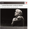 Leonard Bernstein - The Complete Symphonies · Das Lies Von Der Erde (Reissue) (Remastered) (12 CD)