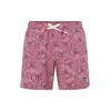 Funky Buddha Kratke kopalne hlače rjava/lila/mauve/bela