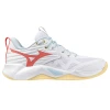 Notranji čevlji Mizuno Wave Momentum Pro shoe Women