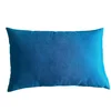 Ukrasni Jastuk 40x60cm Eva Blue