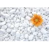NERO Dekorativni kamen oblutak Tasos, 3-6cm 25kg, Beli