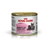 Royal Canin hrana za mačke pašteta za mačiće Babycat Instinctive 195gr