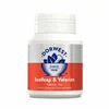 Dorwest Scullcap & Valerian Tablets For Dogs And Cats