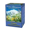 Vyana - prekrvavitev okončin, 100 g