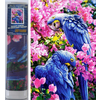 Norimpex - Puzzle Diamantna slika modre papige 30x40 cm - 1 - 39 kosov