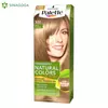 FARBA PALETTE PNC 300 ZELENA(5) HENKEL