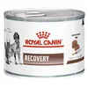 Royal Canin | Recovery 195 g