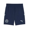 Mens Puma Paraguay 2024 Shorts, Blue, Size S, Sport