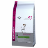 Eukanuba Adult Breed Specific Jack Russell Terrier - Varčno pakiranje: 3 x 2 kg