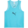 Puma Dres za trening teamADDITIONS