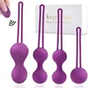 Set kegel kuglica + vibro jaje na daljinski