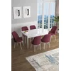 Hanah Home Set Trpezarijski sto i 6 stolica Han, Bordo-beli