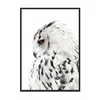 shumee SLIKA, PLAKAT V OKVIRJU 33x43 cm Sova P508