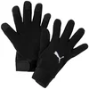 Rokavice Puma teamLIGA 21 Winter gloves