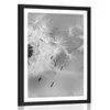 Plakat s paspartujem čarobna regratova lučka v črnobeli varianti - 20x30 no frame