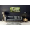 tulup.si Slika na steklu Narava jungle forest trees 100x50 cm 4 obešalnika