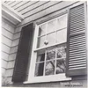Beach Fossils - What a Pleasure (Reissue) (EP)