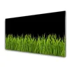tulup.si Slika na steklu Green grass nature 140x70 cm 2 obešalnika