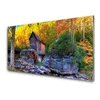 tulup.si Slika na akrilnem steklu Mlin jesenski gozd 125x50 cm 2 obešalnika